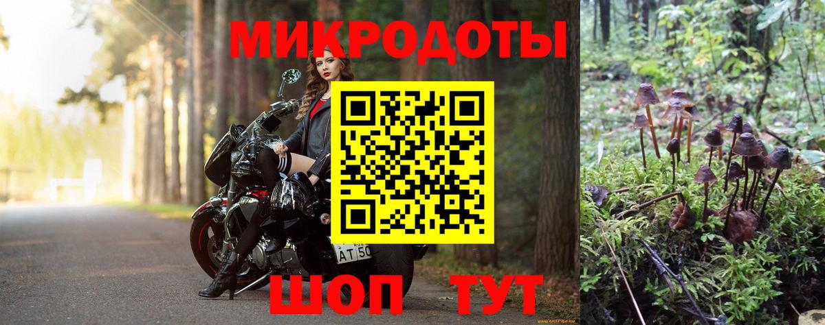 Вязники  Псилоцибиновые грибы Psilocybine cubensis  Вход с VPN 